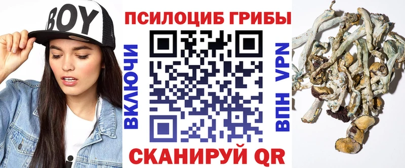 Галлюциногенные грибы ЛСД  OMG зеркало  Белогорск 