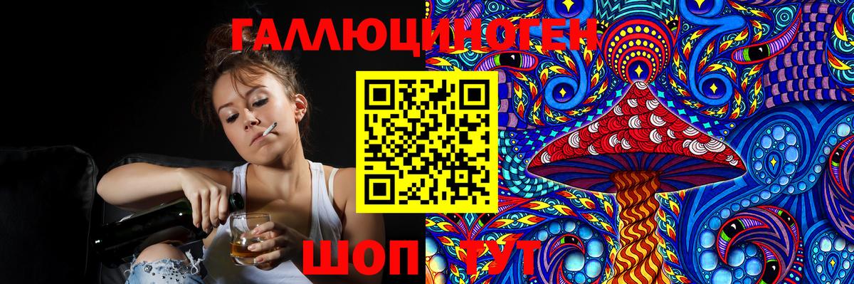 Псилоцибиновые грибы Psilocybine cubensis Белогорск