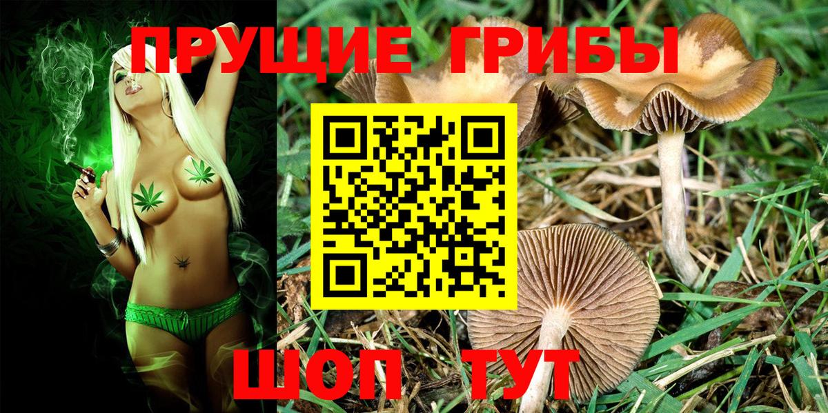Галлюциногенные грибы MAGIC MUSHROOMS  Псилоцибиновые грибы Psilocybine cubensis  Вход с VPN  Белогорск 